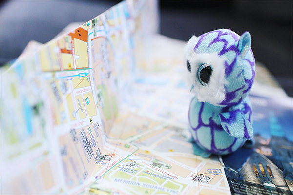 Google Benim İşletmem Nedir?